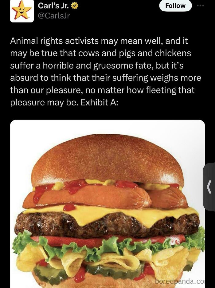 Carl's Jr burger with hot dogs, cheese, lettuce, and chips illustrating corporate failure