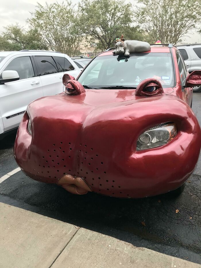 Long Time Lurker, Then I Saw This And Just Had To Share