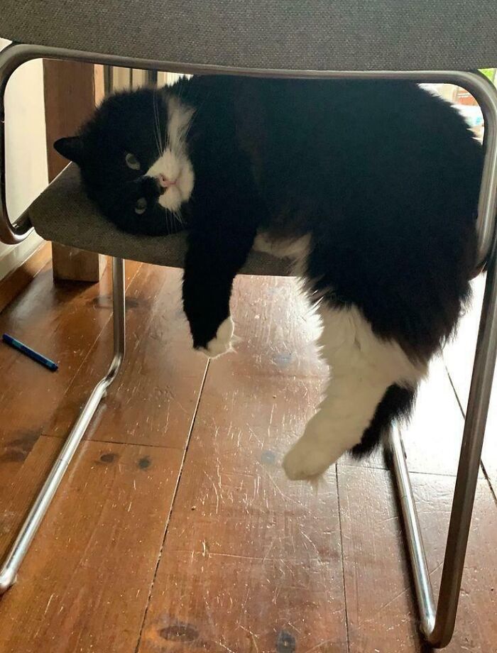 Life's Too Hard, Man 😭