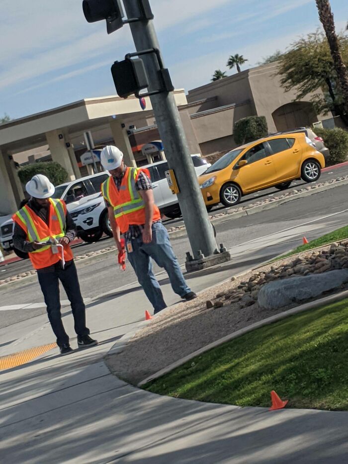 I Think My City Ordered Their Cones Off Of Wish.com