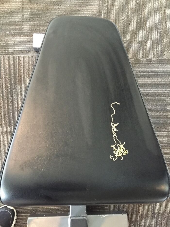 Someone Dropped (And Left) Noodles On This Piece Of Gym Equipment!