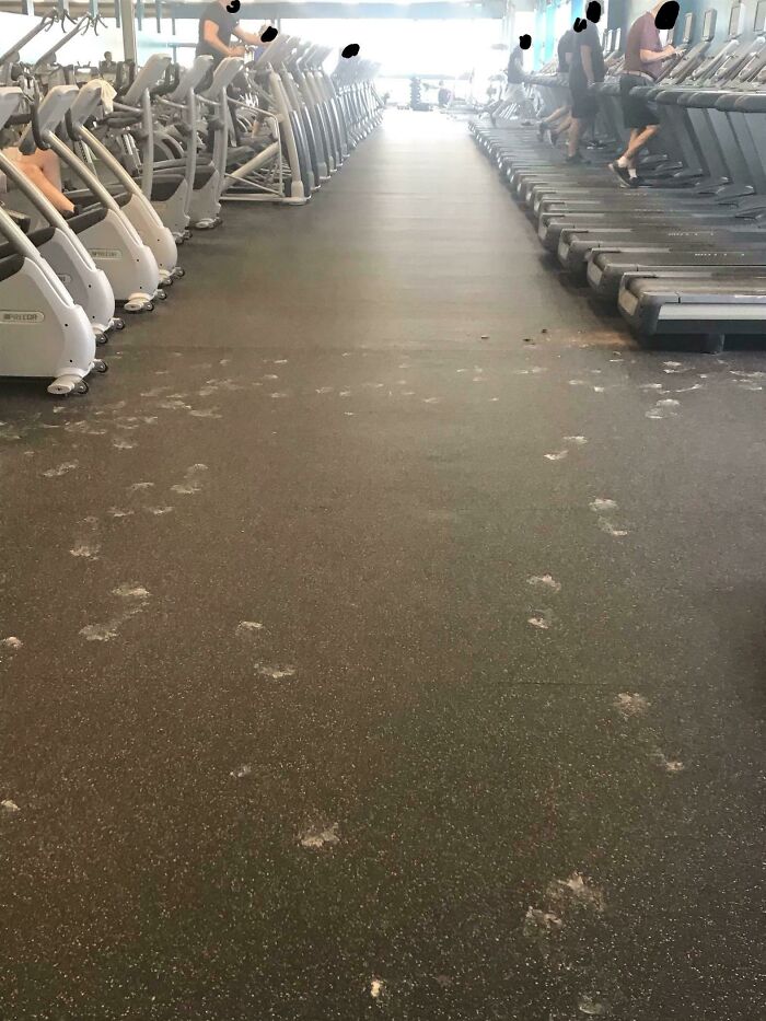 A Random Guy At My Gym Tracked Mud All Over The Treadmill And The Floor And Didn’t Tell Anyone About The Mess