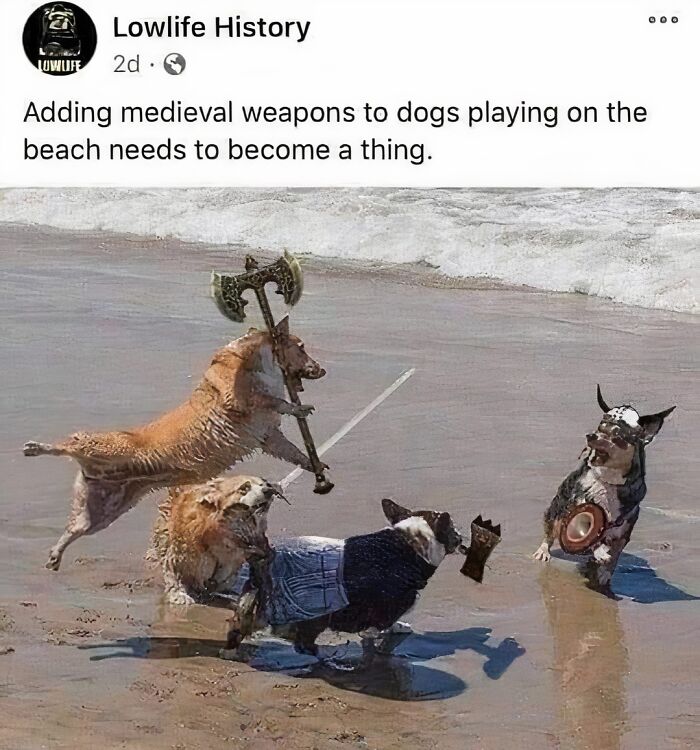 Random-Hilarious-Memes