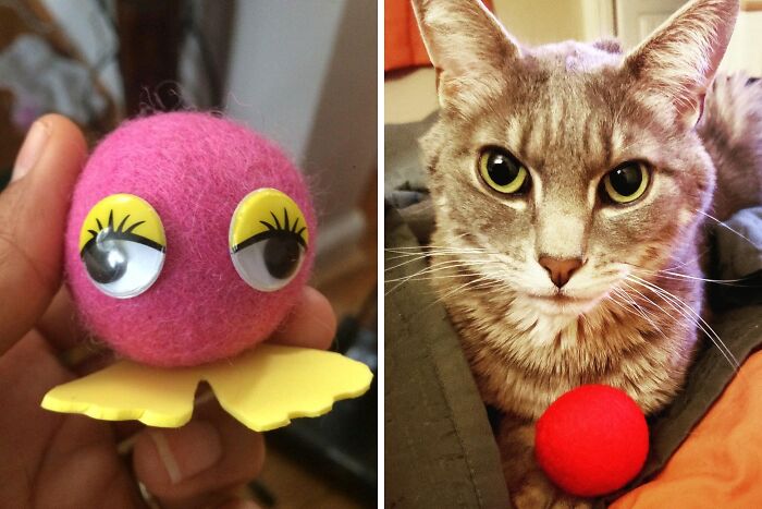 Don't Feel Sheepish That You Didn't Buy Some Of These Wool Cat Balls Sooner