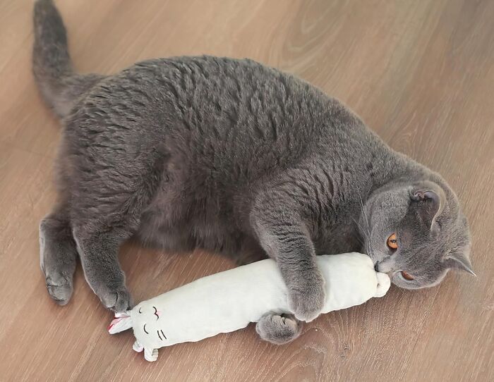 It Seems Like Not Even The Most Aloof Cat Can Resist This Mouse Kicker Toy 