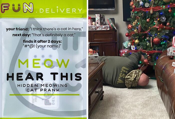 We Had No Idea You Pandas Were Such Pranksters But This Hidden Meowing Cat Prank Shows Your True Colors 