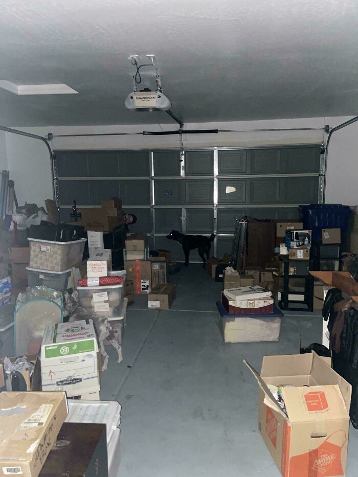 This Morning, I Got An Image From My Sister