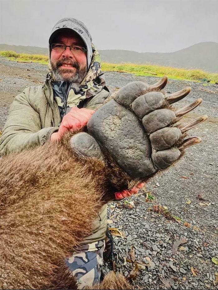 Size Of Grizzly Bear Paw
