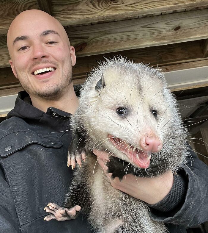 A smiling man holding a playful opossum during a heartwarming wildlife encounter outdoors.