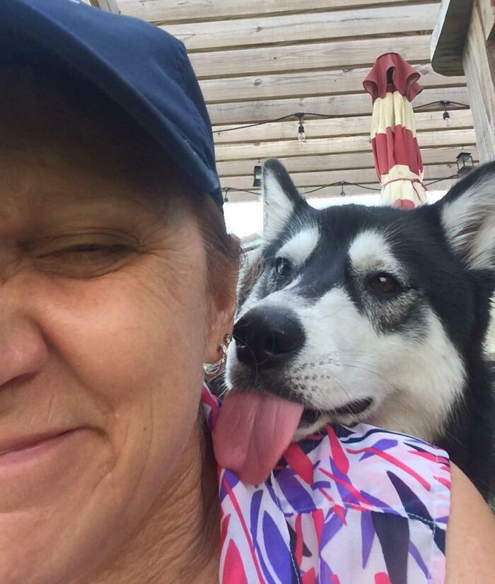 I Asked My Mother-In-Law If She Checked On My Dog While I Was At Work, I Got This Picture As A Reply