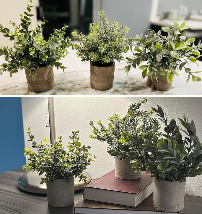 Grab A Pack Of Mini Potted Artificial Plants , Because Not Everyone Is Blessed With A Green Thumb