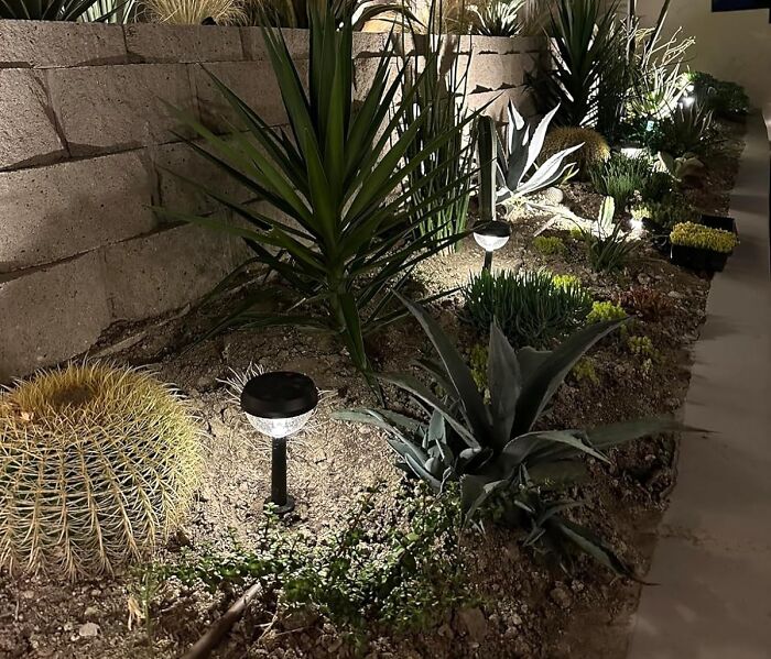 Brighten Up Your Garden With These Solar Pathway Lights 