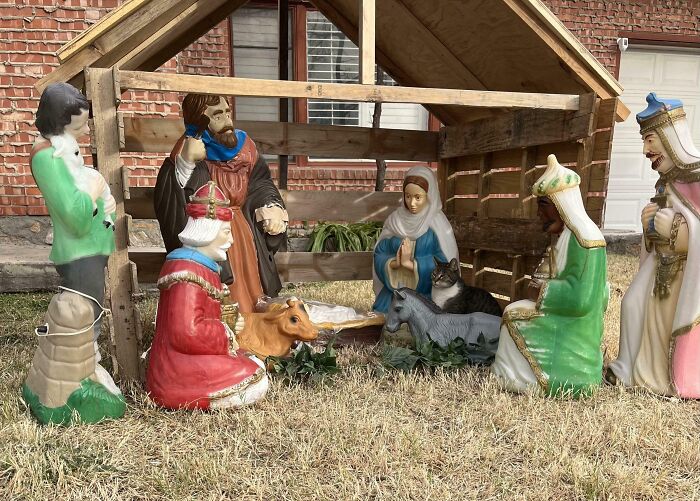 Cat resting in a nativity scene with religious figurines, highlighting hilariously blessed moments with cats.