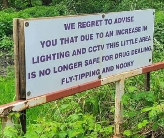 Robin Holt Wilson-Snow