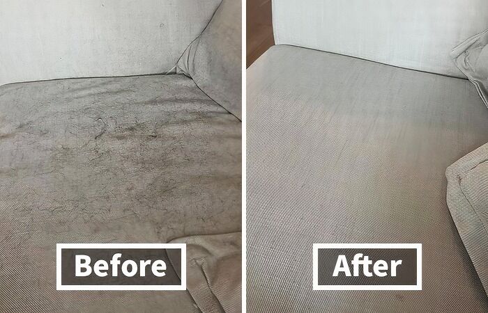 Don't Fear The Fur: This Pet Hair Remover Will Clean Up Your Couch In A Flash