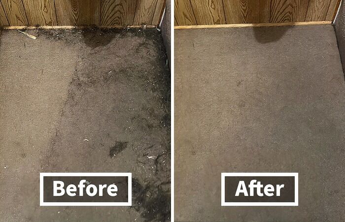 Let's Shed Some Light On The Easiest Way To Clean Up After Your Furry Friend: A Pet Hair Rubber Broom 