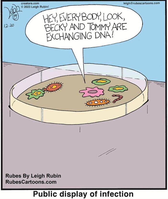 Rubes Cartoons, The Art Of Humor In A Single Frame (New Pics)