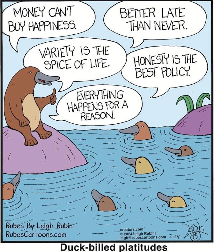 Rubes Cartoons, The Art Of Humor In A Single Frame (New Pics)