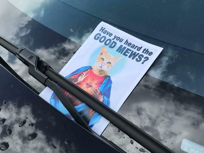 Out Spreading The Good Mews