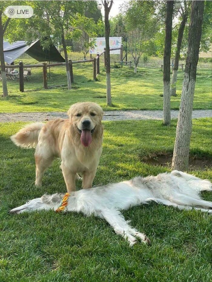 Someone Get The Bike Pump