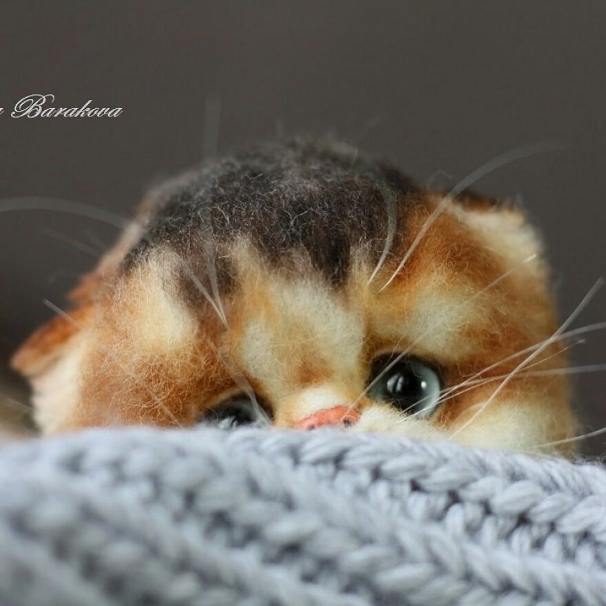 The Realistic Magic Of Wool, Tatyana Barakova’s Needle-Felted Animal Art (New Pics)