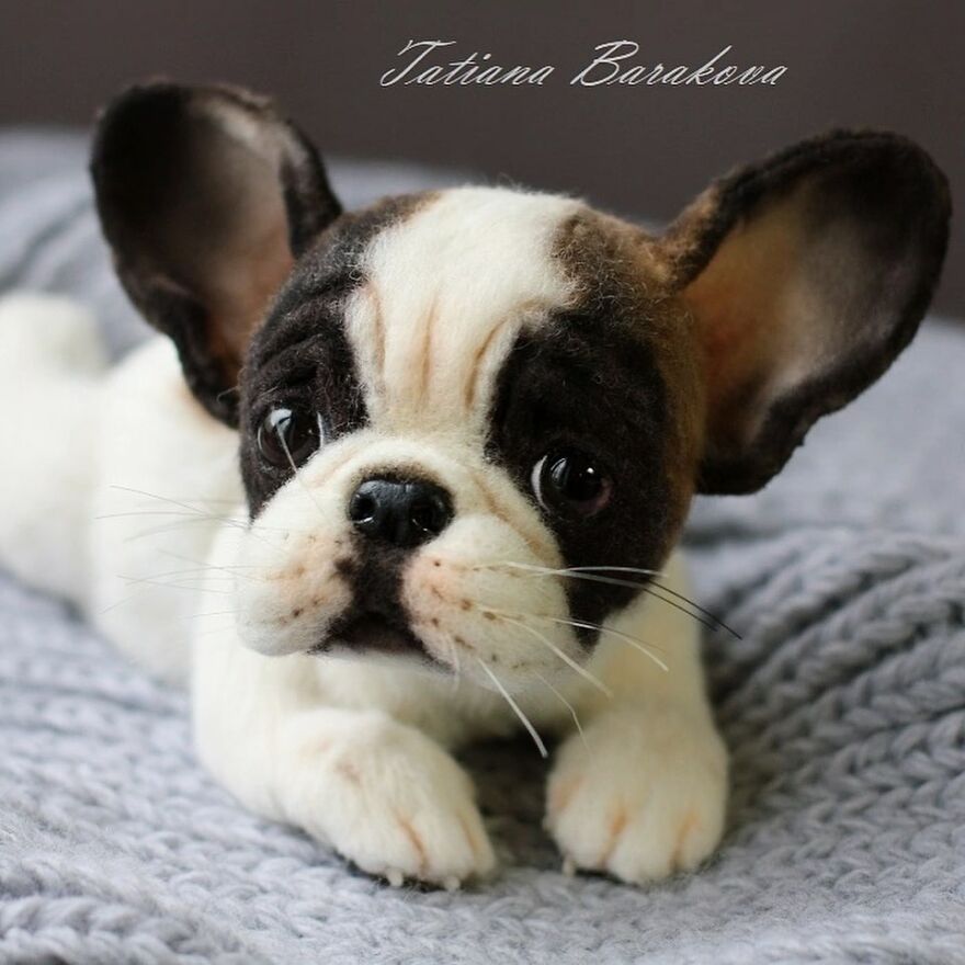 The Realistic Magic Of Wool, Tatyana Barakova’s Needle-Felted Animal Art (New Pics)