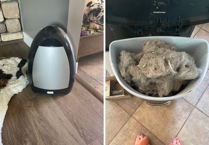 This Automatic Dustpan Solves Our Biggest Problem: The Little Line Of Dust Left Over After Sweeping