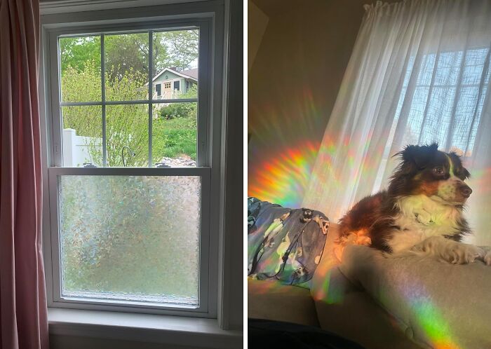  Rainbow Privacy Film Keeps Curious Eyes Out But Also Adds Bursts Of Color To Your Room When The Sun Is Out