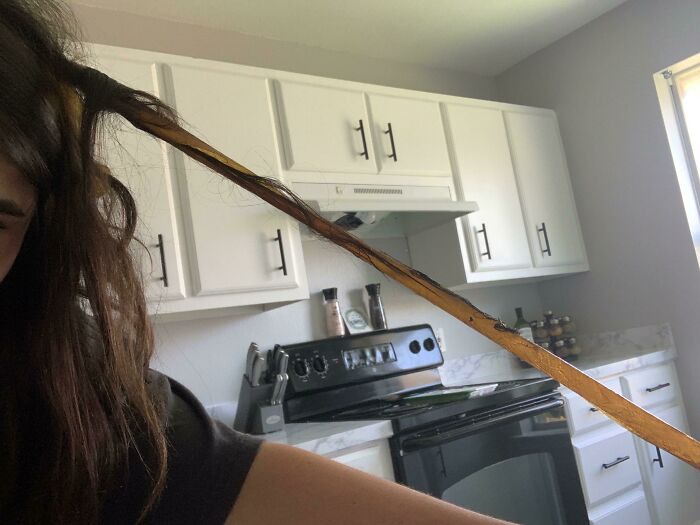 Walked Through A Fly Strip This Morning... Spent An Hour Shampooing Glue And Fly Guts Out Of My Hair