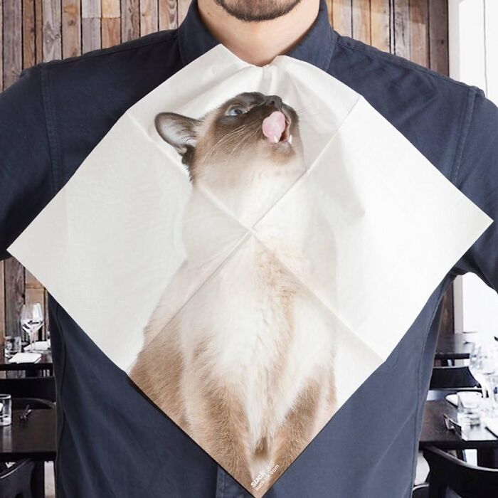  Cat Napkins Are A Must For Any Feline Lover