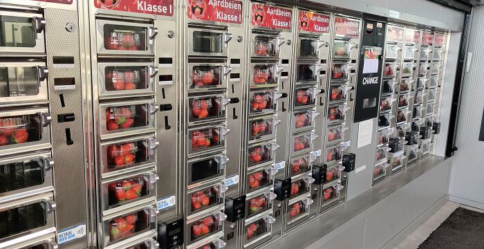 Strawberry Vending Machine. This Is At A Strawberry Greenhouse In The Westland In The Netherlands