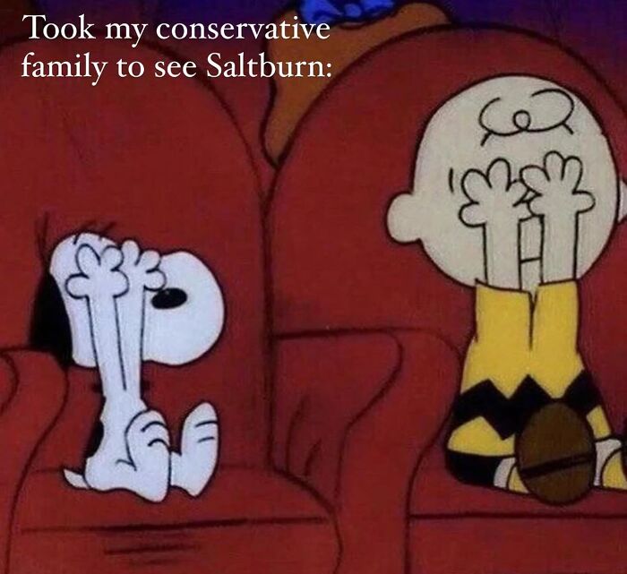 Snoopy and Charlie Brown covering their eyes in a movie theater, funny movie memes illustrating strong reactions.