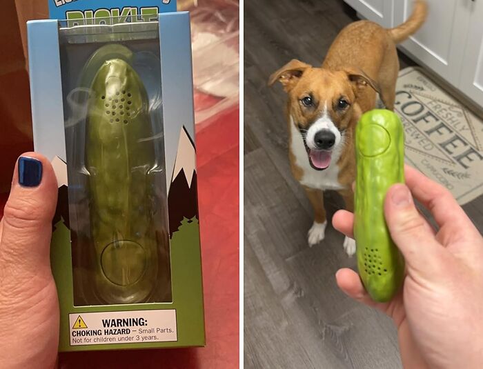 A Yodeling Pickle Will Never Sour The Mood