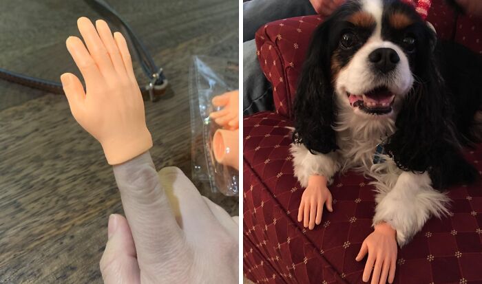  Hand Finger Puppets : A New Way To Give Someone The Finger