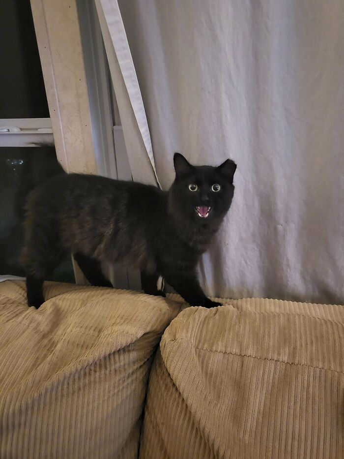 Our New Void, Spooky!