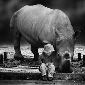 cherrylgibson_1 avatar