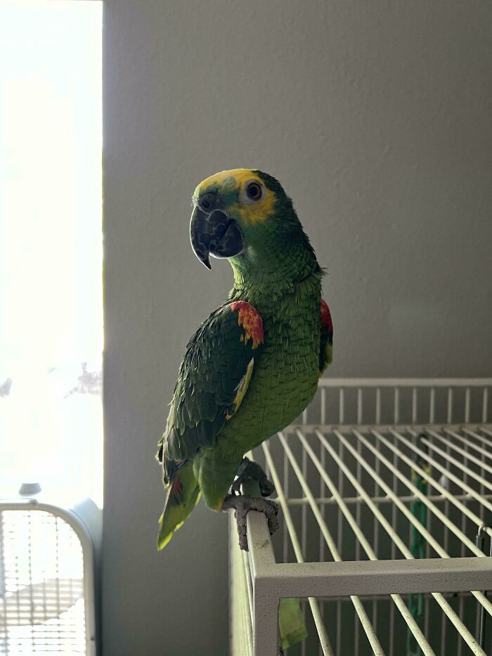 35 Year Old Named Paris!