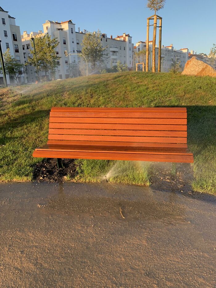 A New Park Opened In My City, Pretty Lovely, And This. Buttcleaner3000