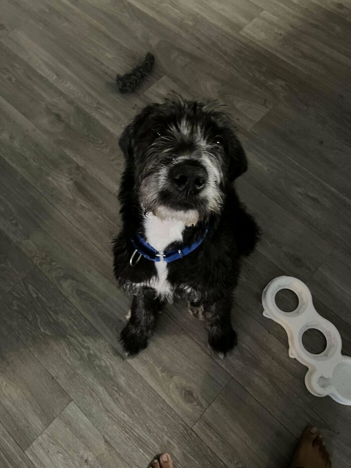 This One’s Gonna Hurt