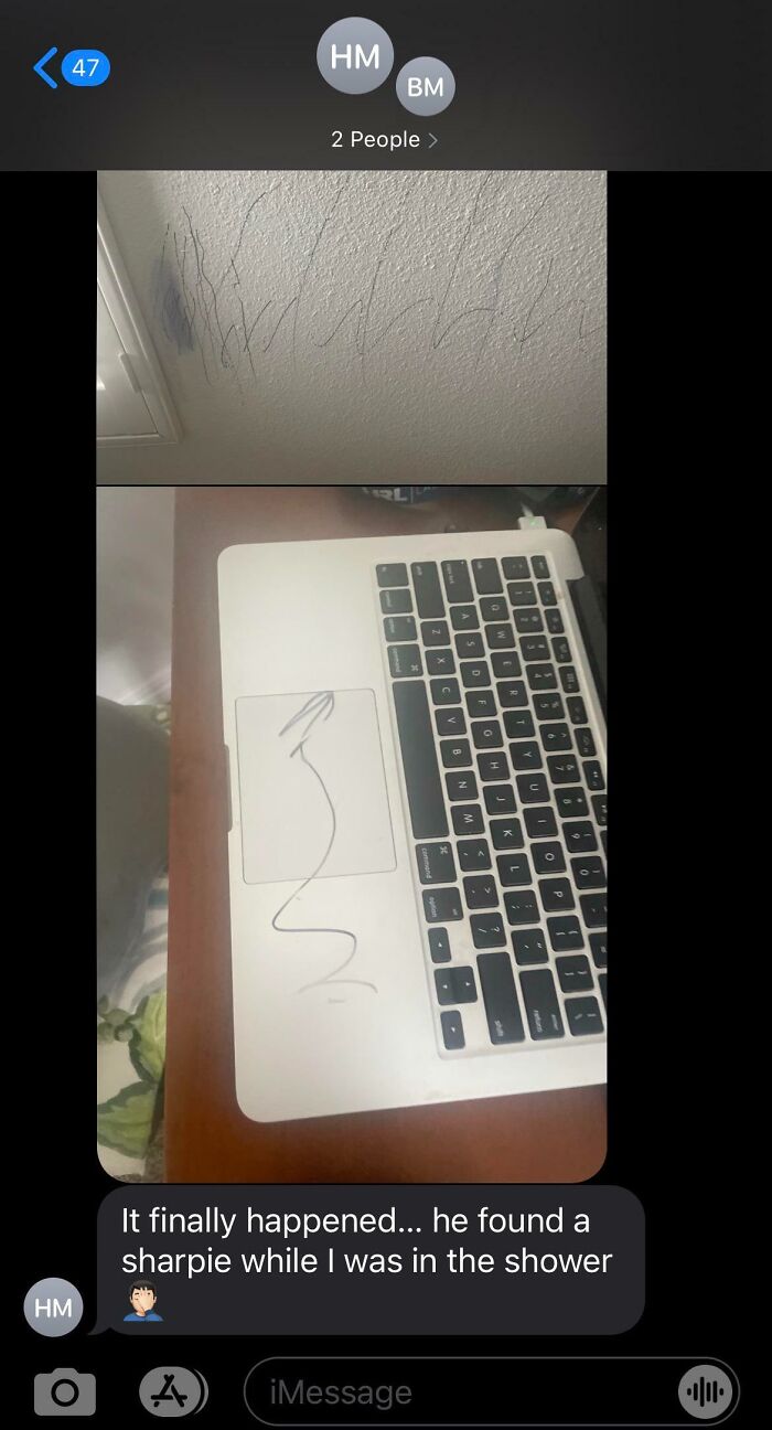 Friend's Kid Found A Sharpie