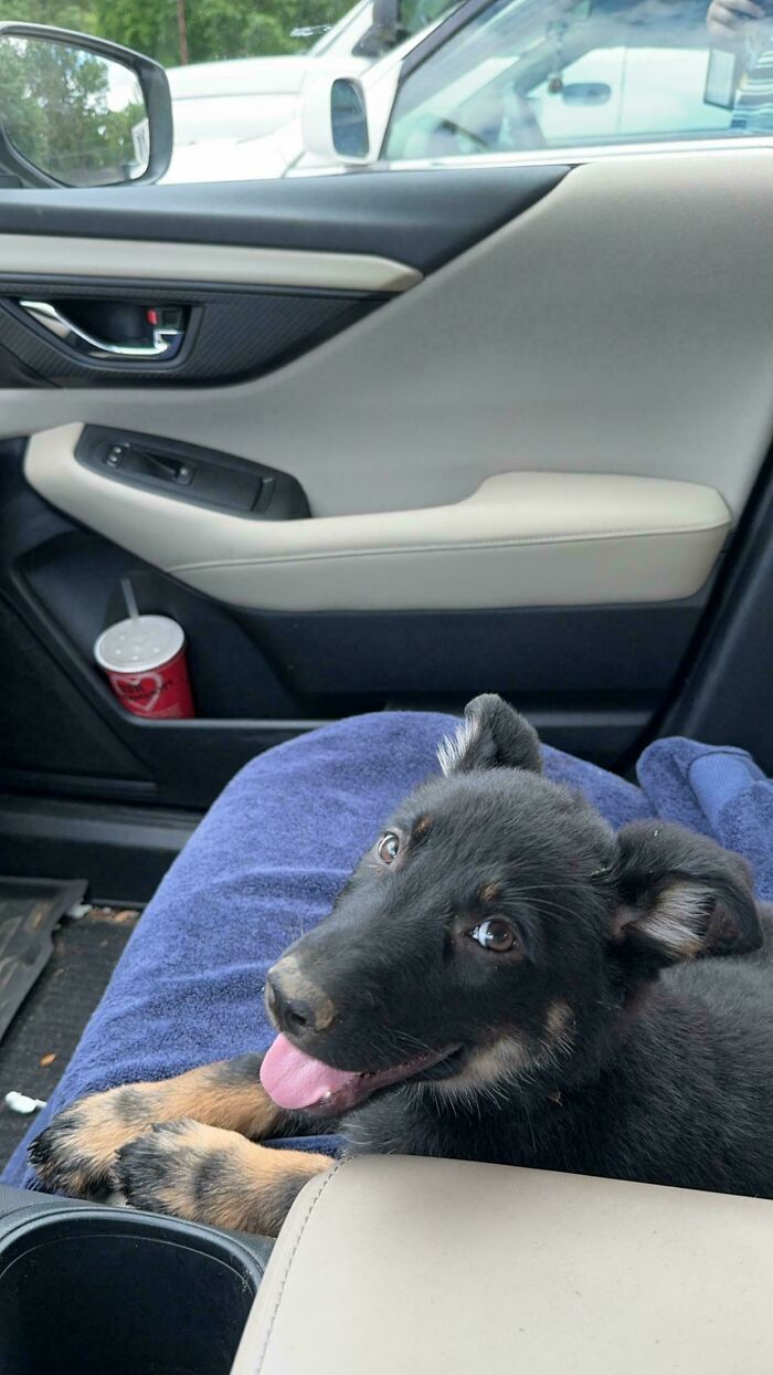 Adjusting To A New Home