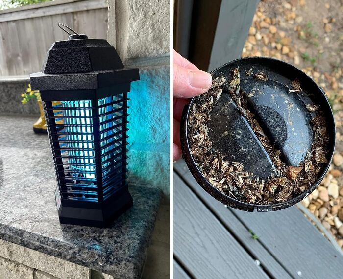 Amazon best seller bug zapper with glowing light and tray full of dead insects.