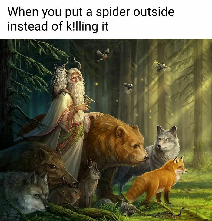 Wizard surrounded by animals in the forest, humorous meme about putting a spider outside.