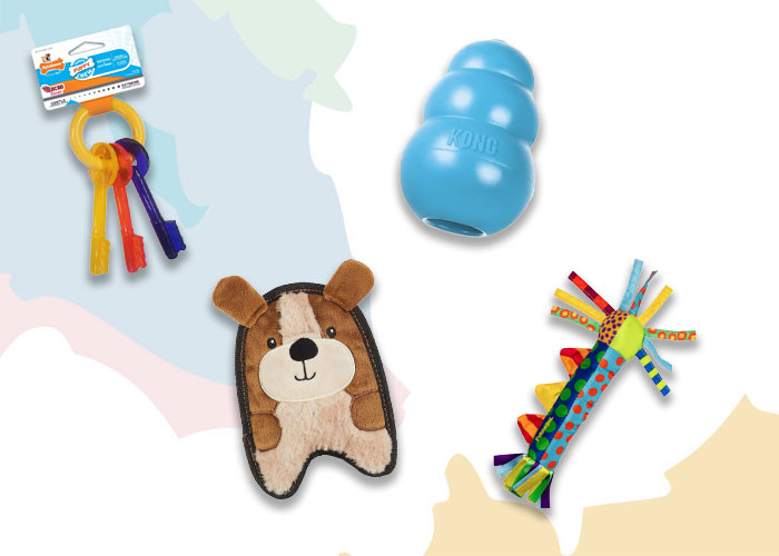 Best Chew Toys For Puppies With Itchy Teeth - 1