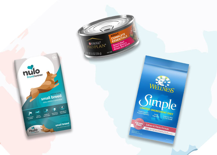 Best Dog Food For Small Dogs In 2024 - 1