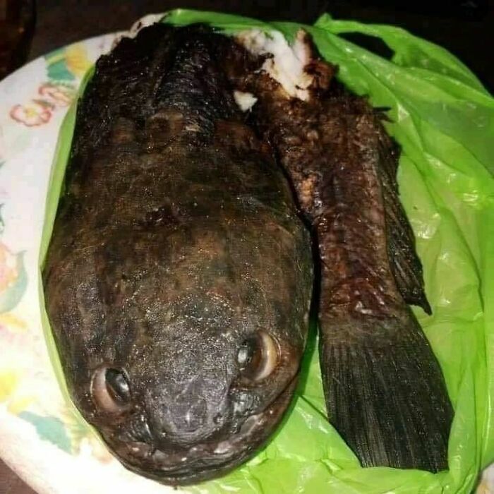 Unappetizing fish served on a plate with a green background.