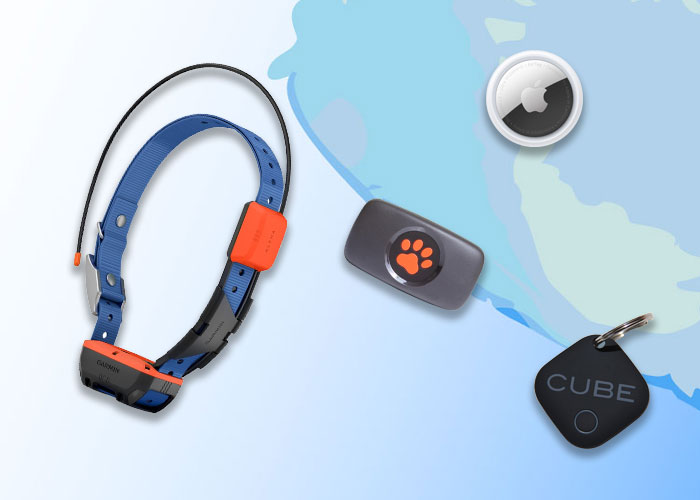 Best Dog Tracker Without Subscription In 2024 - 1