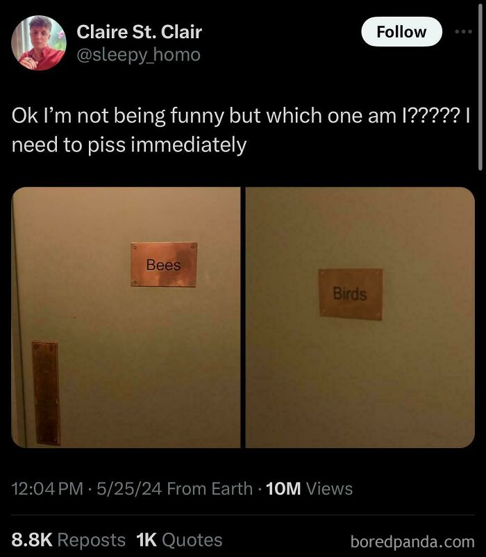 Two bathroom doors labeled Bees and Birds, showing a funny and awkward moment when an attempt didn’t go as expected.