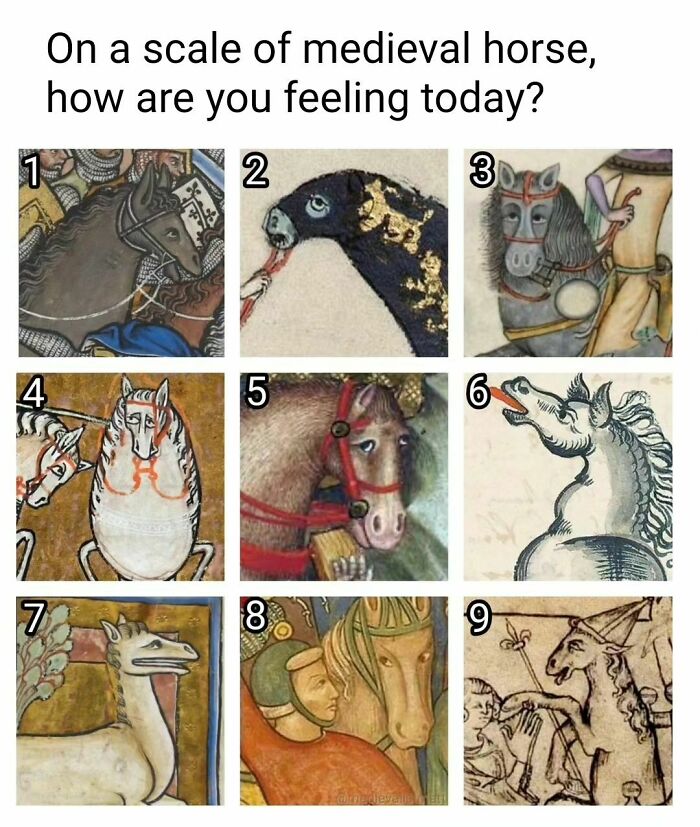 Medieval horses used as funny memes with nine different comical expressions and postures.