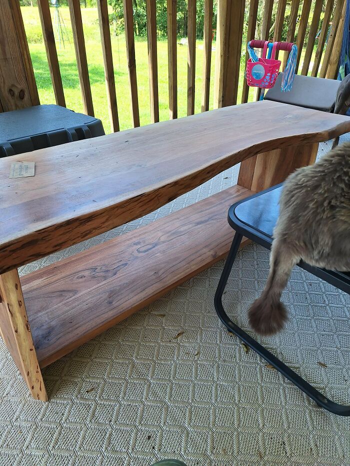 Brought This Home Last Night!